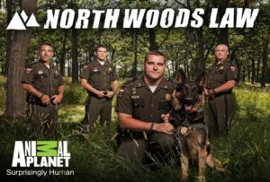North woods law