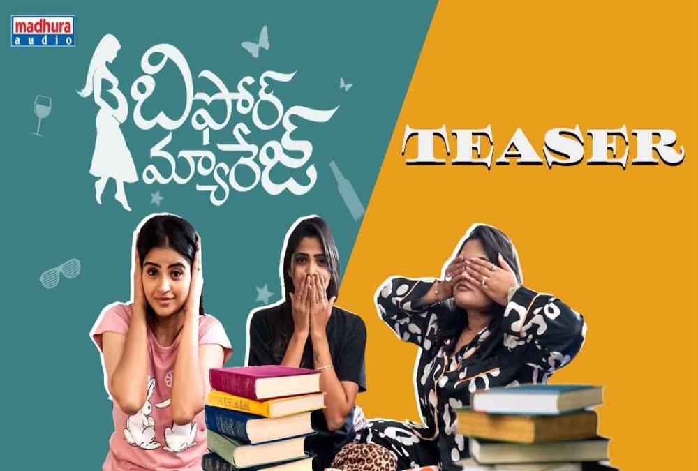 Before Marriage Box Office Collection, Budget, Hit or Flop, OTT, Review, Cast