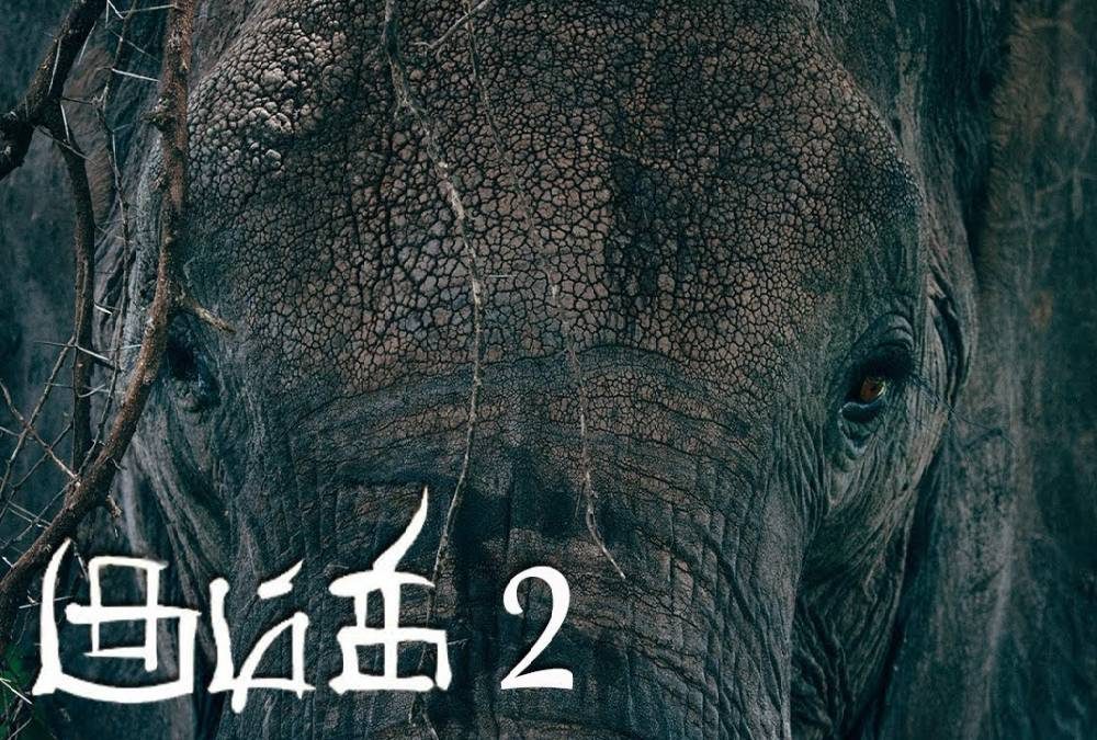 Kumki 2